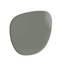 Forest Lens